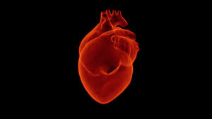 أمراض القلب مضاعفات الفشل الكلوي
